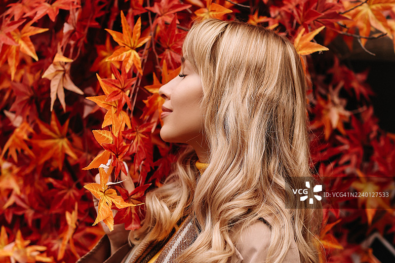 秋季肖像：年轻女子侧面肖像，在十月的大自然中享受红枫叶的芬芳。图片素材