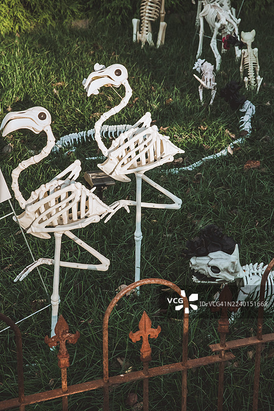 万圣节装饰品，骷髅火烈鸟，塑料草坪骷髅火烈鸟图片素材