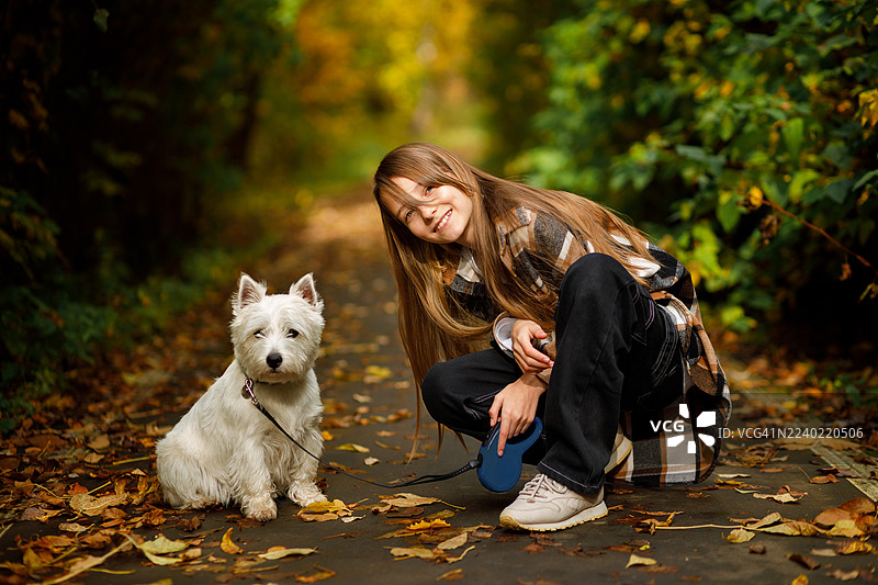 秋日公园里，女孩与狗一同散步。少女和她的狗在落叶中。图片素材