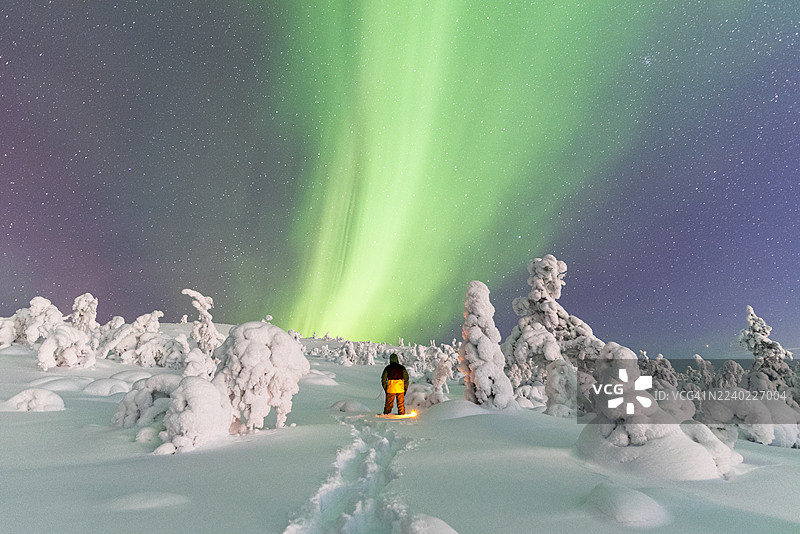 徒步者在芬兰的北极光（极光）下探索雪林图片素材