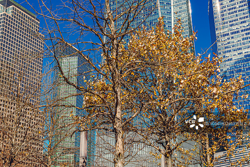 纽约市中心秋景图片素材