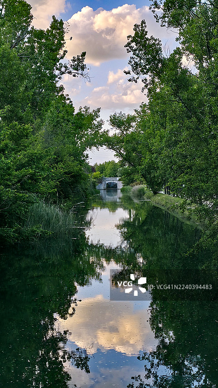 植被环绕的河道镜像视图图片素材