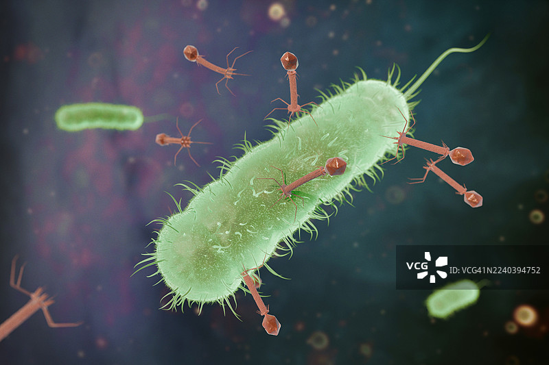 噬菌体攻击细菌图片素材