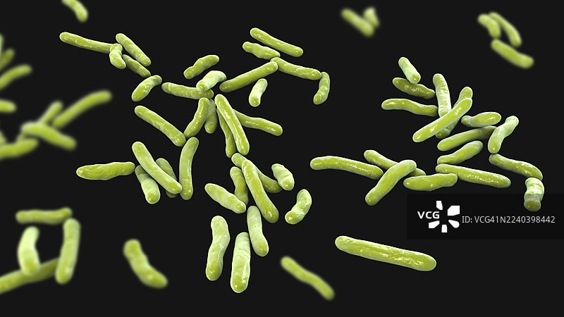 奈氏杆菌，插画图片素材