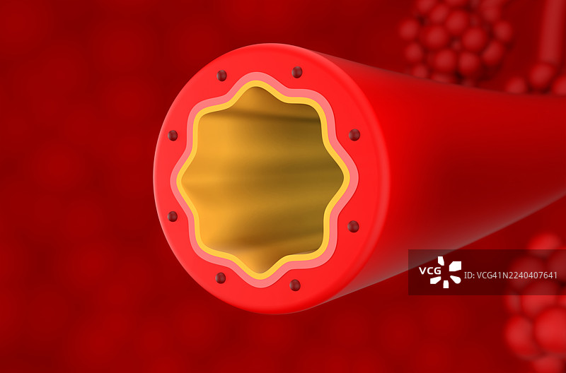 肺部正常支气管，插画图片素材