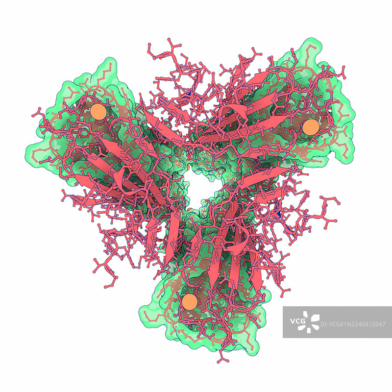 乳酸菌噬菌体TP901-1的基板三脚架，插画图片素材