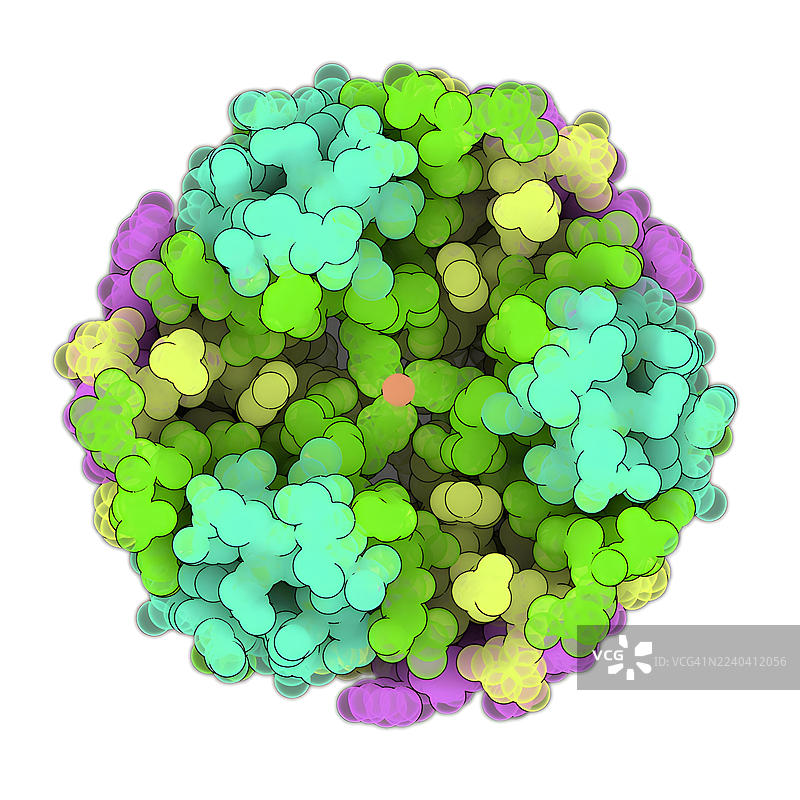 牛胰岛素 des-Phe B1 的晶体结构,插画图片素材