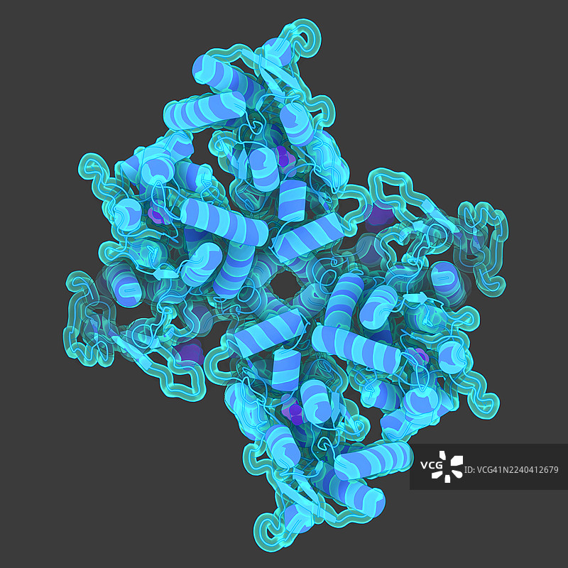谷氨酸结合的TARP gamma-5的GluA2受体，插画图片素材