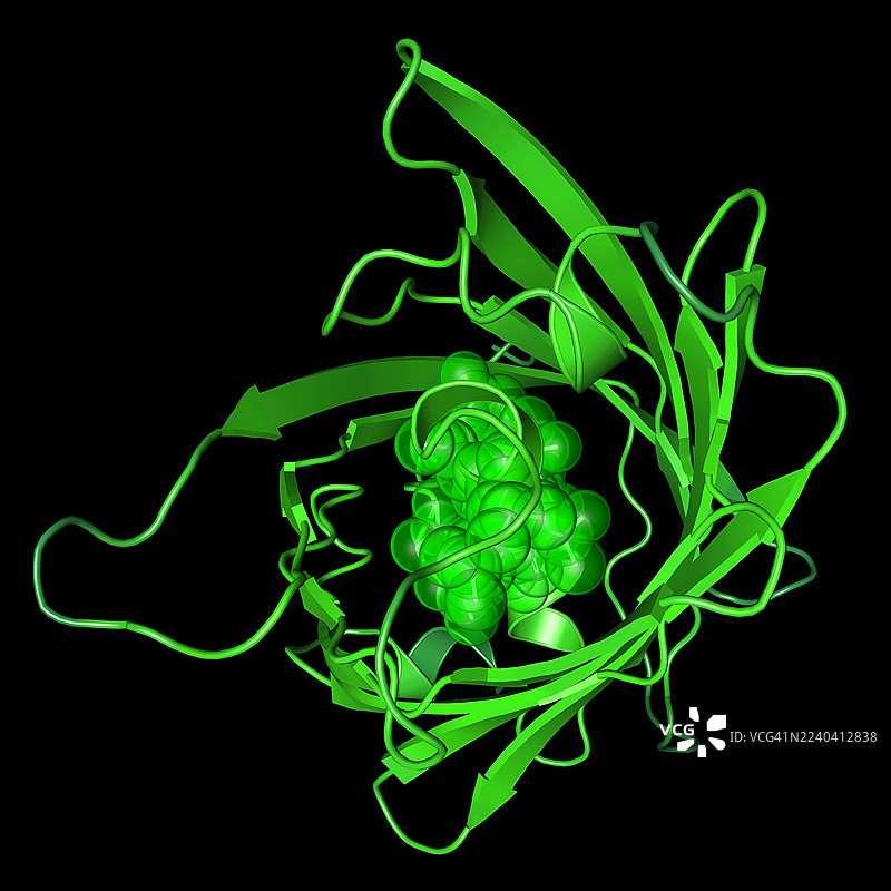 绿色荧光蛋白变体GFP6，插画图片素材