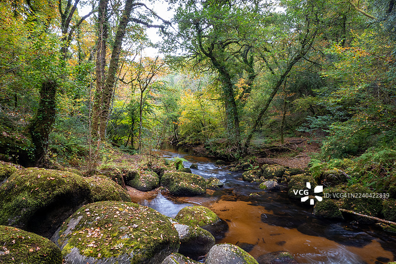 秋季，达特穆尔国家公园图片素材
