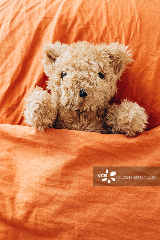 毛绒可爱的泰迪熊独自躺在床上图片素材