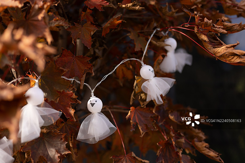 一串小鬼装饰挂在秋叶茂盛的树枝上。图片素材