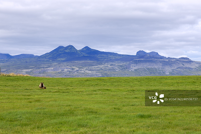 冰岛雄伟的山峰图片素材