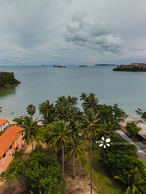 热带海岸，有棕榈树和宁静的海图片素材