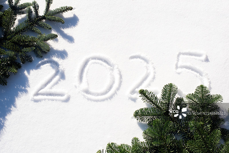 新年2025。新年快乐。圣诞假期。新年2025的数字，背景为纯色，配有圣诞树枝。节日背景。图片素材