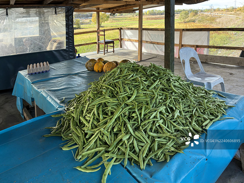 Elbasan村庄的有机丰盛景象图片素材