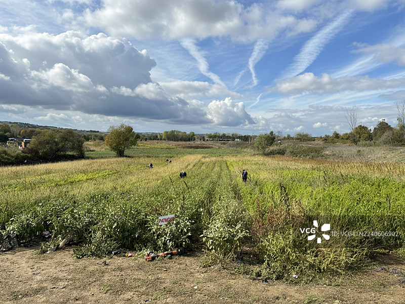 埃尔巴桑村的有机丰收日图片素材