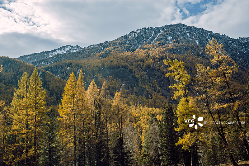 山脉脚下色彩斑斓的秋季森林。鲜艳的秋叶覆盖着高耸山脉的山麓，天空戏剧性地布满零散的云彩。图片素材