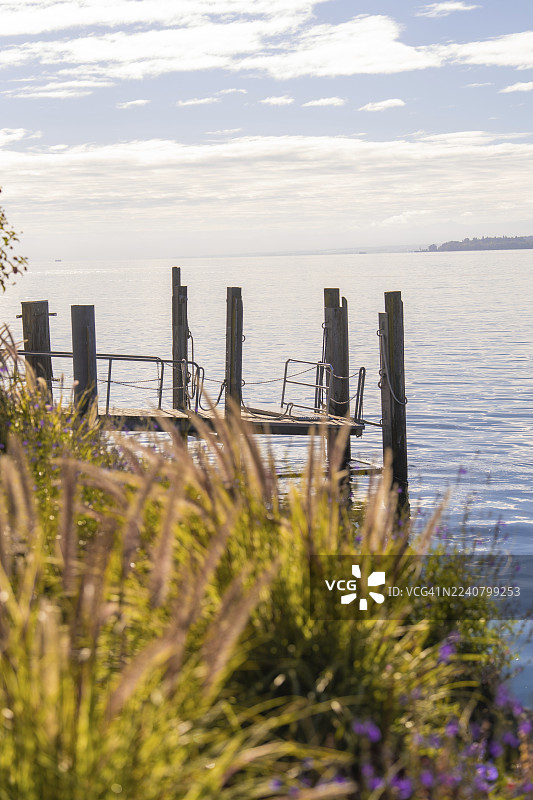 阴天下的湖边宁静码头，周围环绕着芦苇和自然风光，位于德国康斯坦茨湖的乌伯林根。图片素材
