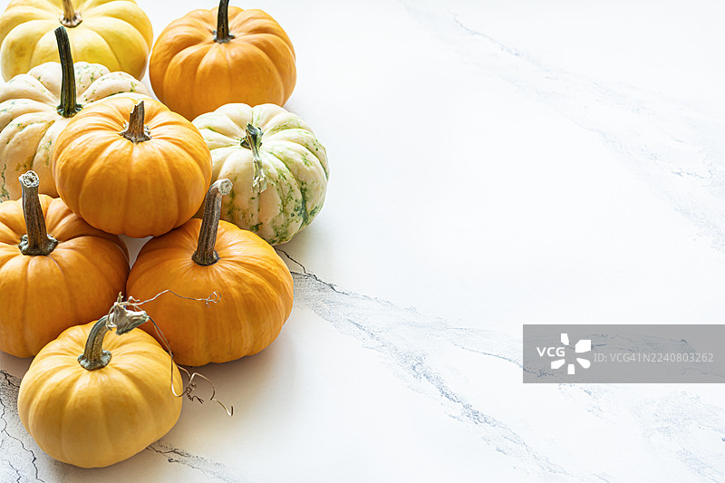 装饰南瓜。万圣节和感恩节的餐桌装饰。图片素材
