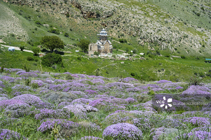 亚美尼亚阿拉拉特省圣约翰修道院(Surb Karabet Monastery)附近盛开的田野和山脉环绕的老建筑,圣约翰浸礼会,兰贾尔(Lanjar)图片素材