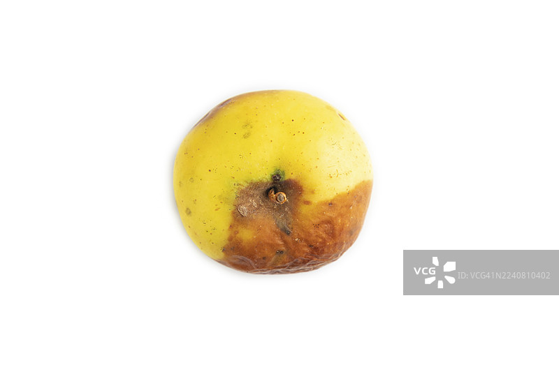 背景为白色的腐烂、变质的苹果。俯视，留白，俯视，简约风格图片素材
