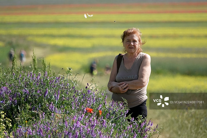 卡斯泰卢奇奥平原的假期图片素材