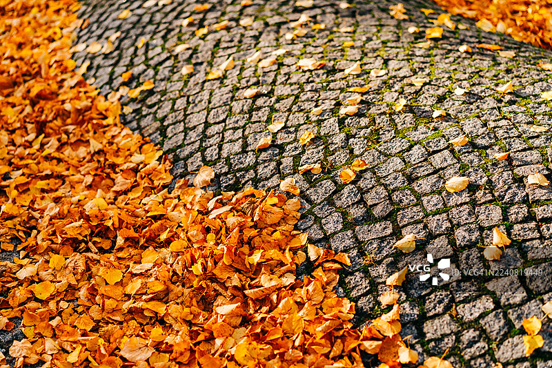 秋叶散落在弯曲的鹅卵石小径上，营造出温馨的秋日氛围。图片素材