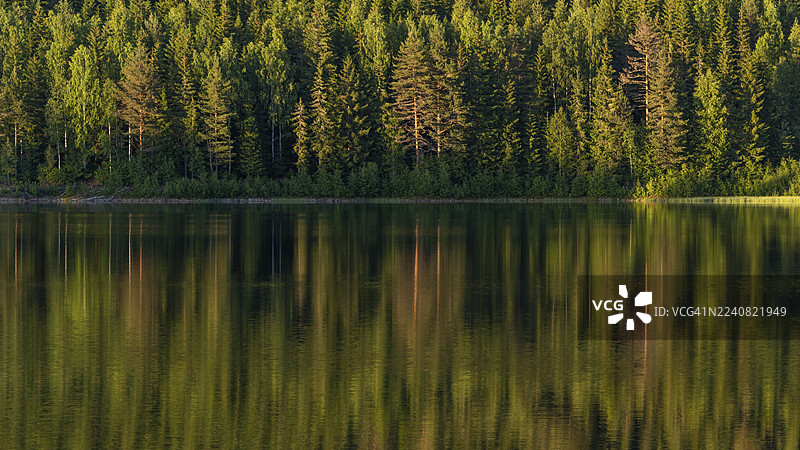倒映在水面的森林湖泊，日落，阿克斯胡斯，挪威图片素材