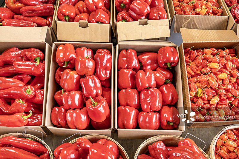 蒙特利尔魁北克让塔隆市场的红辣椒图片素材