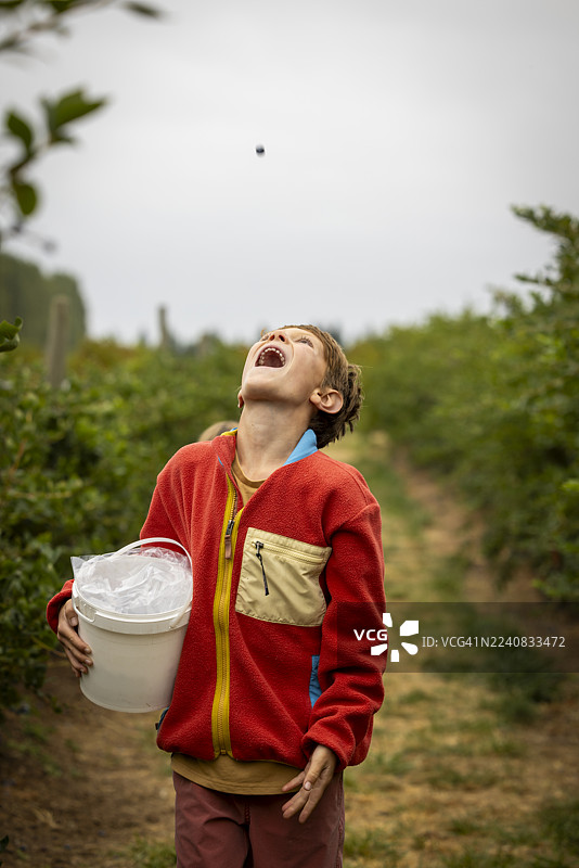 一个小男孩正在抛接并尝试用嘴接住一颗蓝莓。图片素材