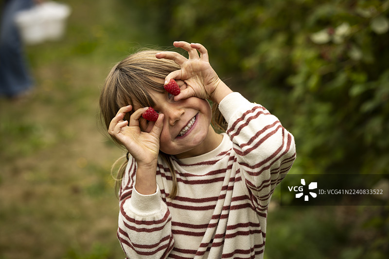 一名小女孩采摘新鲜的自采浆果图片素材