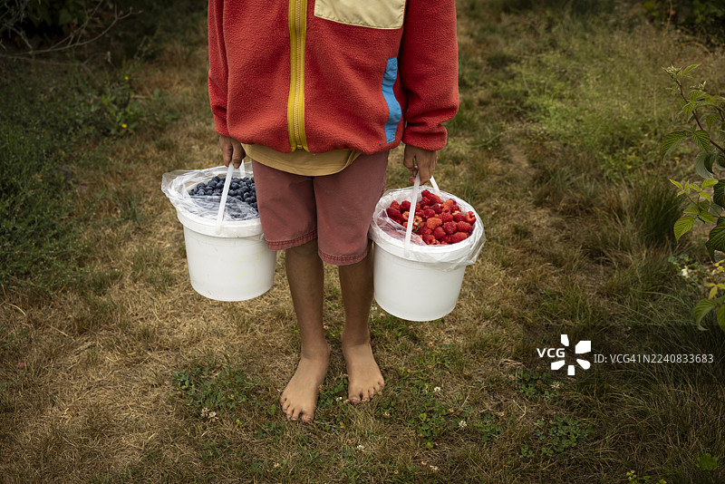 一个男孩拿着两桶新鲜的自采浆果图片素材