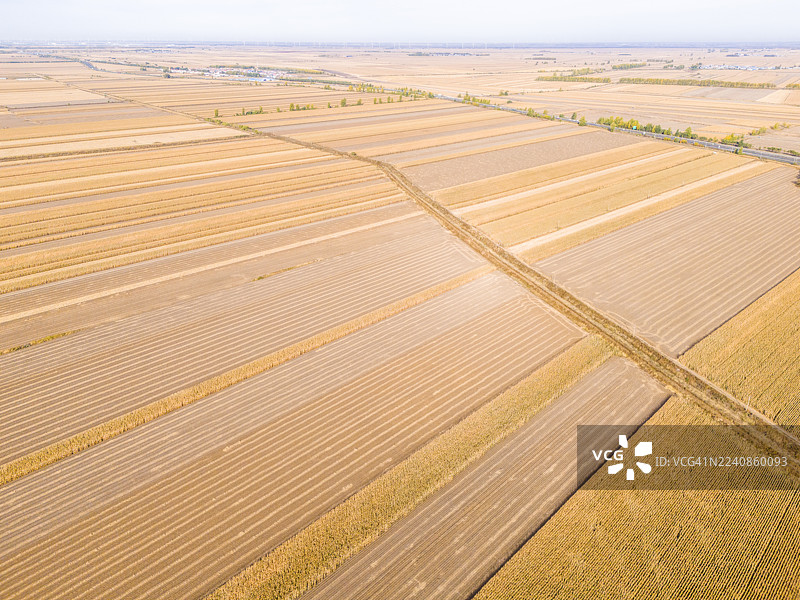 中国东北秋季的稻田风光图片素材