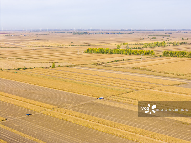 中国东北秋季的稻田风光图片素材