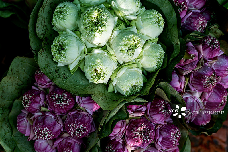 纽伦堡市花市的五彩鲜花图片素材