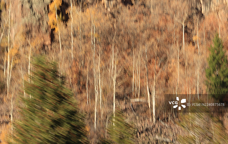 秋季林区运动模糊效果摄影图片素材