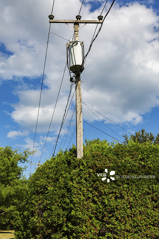 电线杆上的电力变压器、高压输电线路、互联网和电话线，位于加拿大魁北克省的侧柏-雪松树篱旁。图片素材
