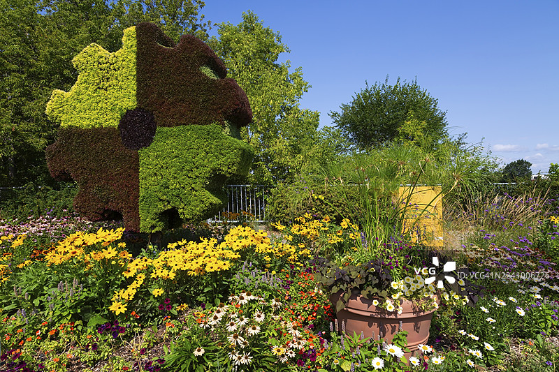 夏日，加拿大魁北克省拉瓦尔市，混合花境中的红花酢浆草、松果菊、黄花黑眼苏珊和矮牵牛花，以及一个活体植物齿轮雕塑。图片素材