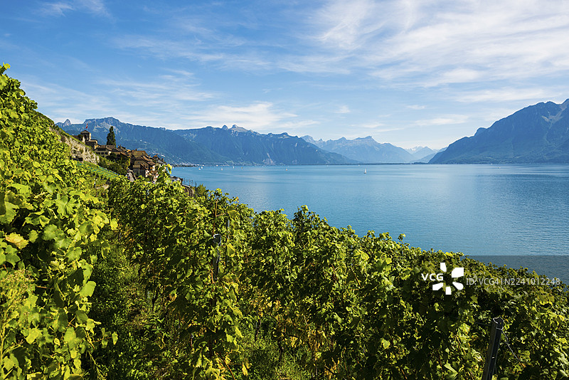 风景如画的村庄坐落在葡萄园中，毗邻日内瓦湖，位于瑞士沃州洛桑区拉沃葡萄园文化景观（联合国教科文组织世界遗产）的圣萨福林。图片素材