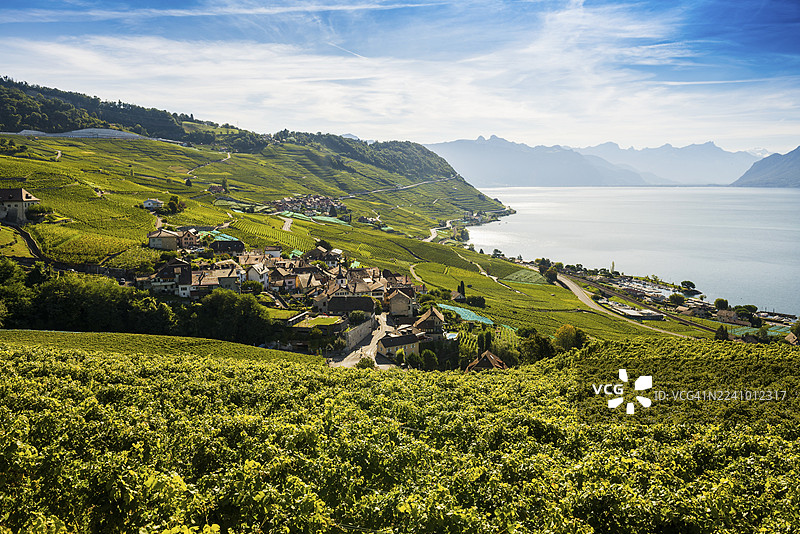 葡萄园旁的风景如画的村庄，埃佩斯，拉沃，联合国教科文组织世界遗产，日内瓦湖，莱蒙湖，沃州，瑞士图片素材