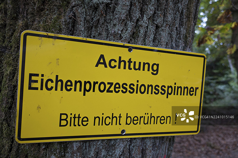 橡树上的警告标志，写着“小心——橡树 processionary 蛾——请勿触摸！” 橡树 processionary 蛾（Thaumetopoea processionea）是灯蛾科的一种蝴蝶（蛾。在人类身上，微小的刺毛会引起...图片素材