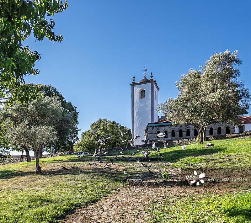 阳光明媚的山坡上，古老的教堂塔楼和橄榄树，伴随着飞翔的鸽子，圣玛丽亚·梅谢多，葡萄牙图片素材