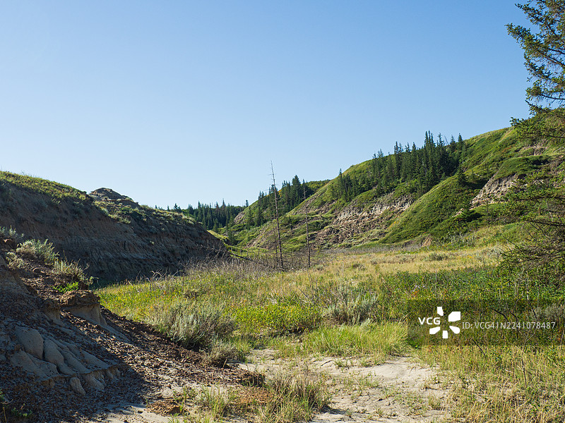 阳光明媚的日子里，郁郁葱葱的山谷，连绵起伏的山丘和湛蓝的天空组成的风景图片素材