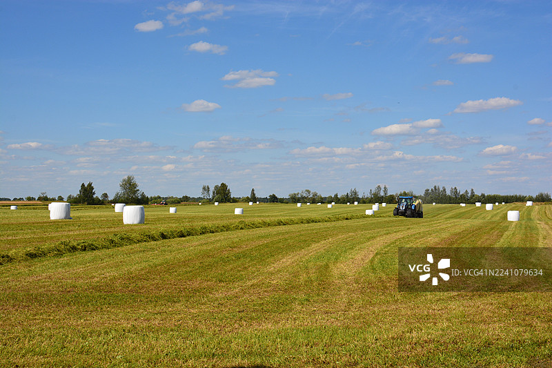 在立陶宛考纳斯，拖拉机在广阔的农田里收割干草，蓝天白云下图片素材