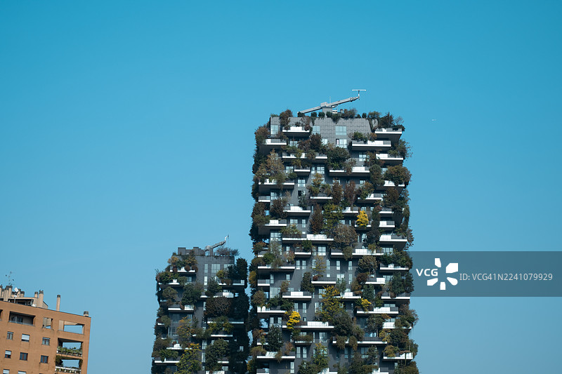 米兰垂直森林 | 可持续建筑标志性的树木覆盖摩天大楼图片素材