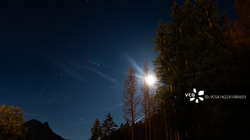 低角度拍摄的剪影树木，背景是繁星点点的夜空和明亮的月亮图片素材