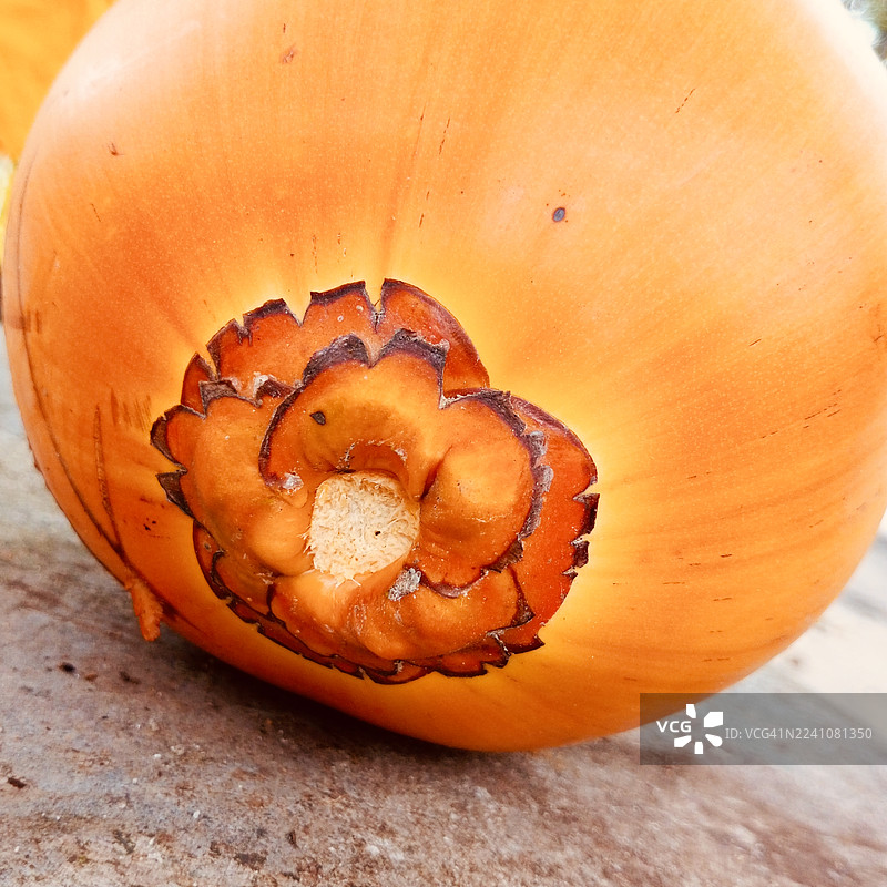 充满活力的橙色椰子特写，带有纤维状外壳，放置在纹理表面上图片素材