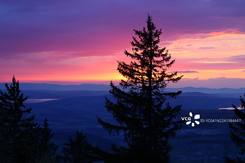 瑞士韦吉斯，松树剪影与远方湖泊映衬下的壮丽日落山景图片素材