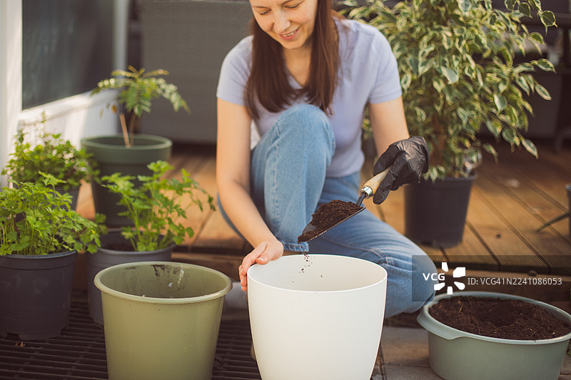 女人在阳台花园盆栽里种植香草图片素材
